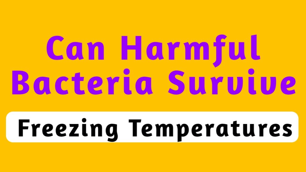 Can harmful bacteria survive freezing temperatures
